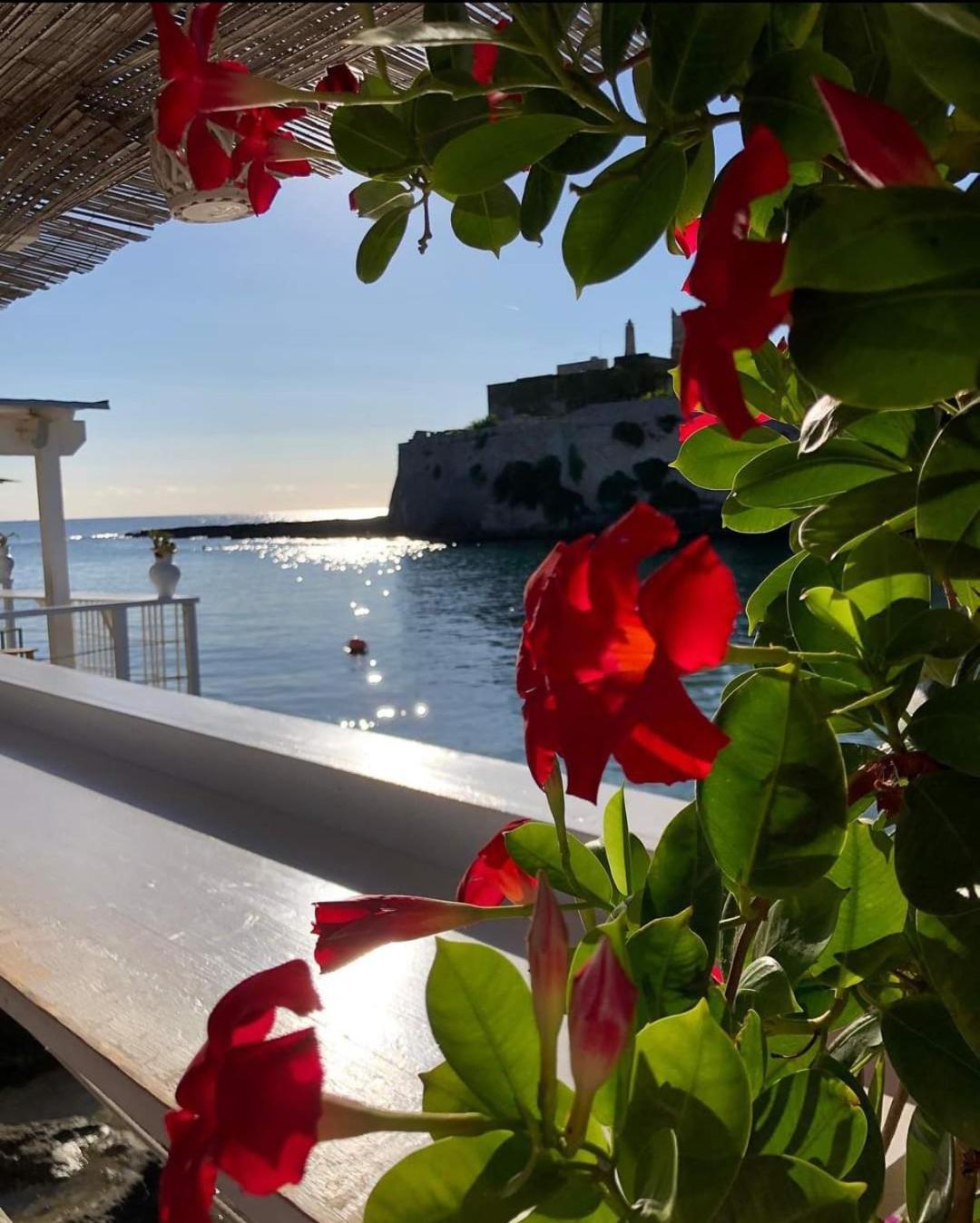 Casa Carlotta Villa Monopoli Dış mekan fotoğraf
